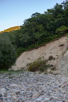 Dry stonebed of mountain river, forest and cliff