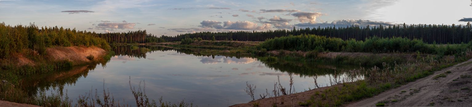 View of lake and pine forest at the summer sunset