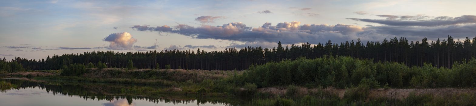 View of lake and pine forest at the summer sunset