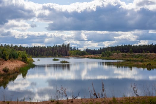 Summer view on the lake and pine forest