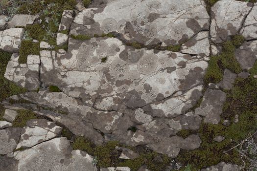 Texture of rocky ground with moss and lichen