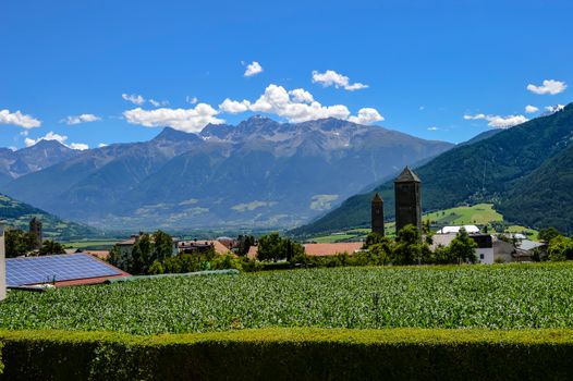 Green meadows and flowers in Valsugana - Trentino-Alto Adige Italy.