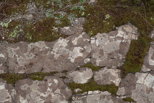 Texture of rocky ground with moss and lichen