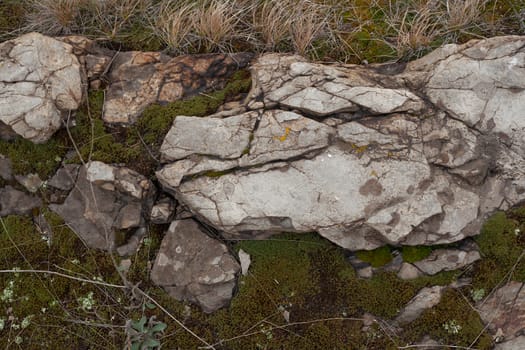 Texture of rocky ground with moss and lichen