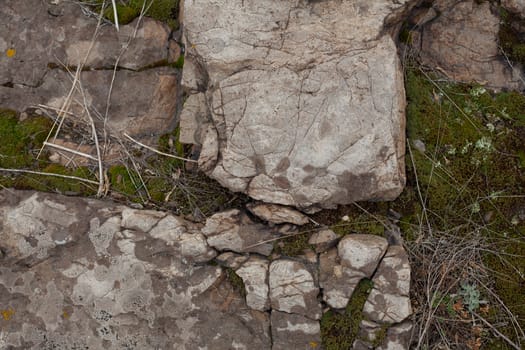 Texture of rocky ground with moss and lichen