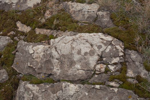 Texture of rocky ground with moss and lichen