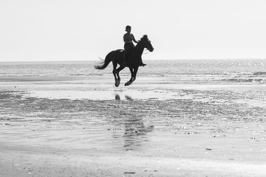 horse riding on the beach in black and white