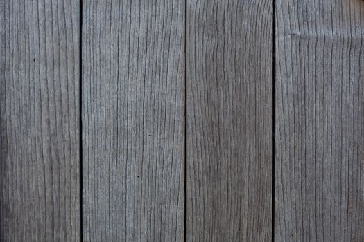 Old gray pine board texture