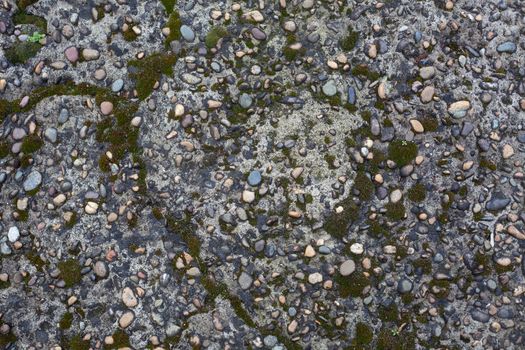 Texture of pebble inlay in concrete with green moss