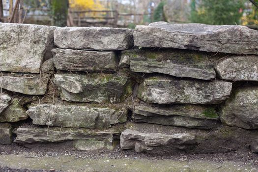 Old mossy-covered stone fence 