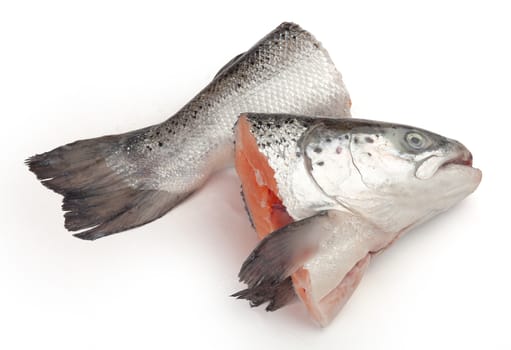 Isolated salmon parts for fish soup