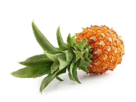 Isolated fresh whole pineapple on the white background