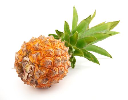 Isolated fresh whole pineapple on the white background