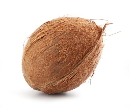 Isolated whole brown coconut on the white background