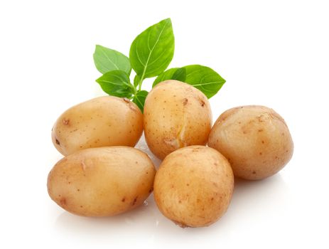 Isolated heap of jacket potatoes with fresh green basil leaves