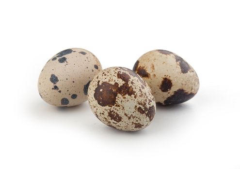 Isolated quail eggs on the white background