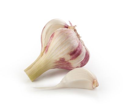 Bulb and clove of young garlic on the white background