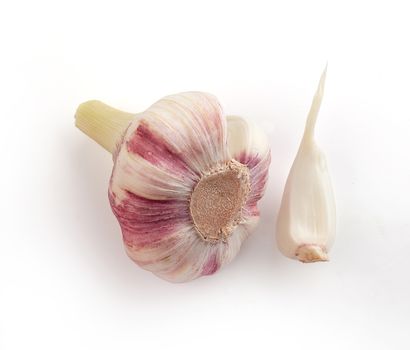 Bulb and clove of young garlic on the white background