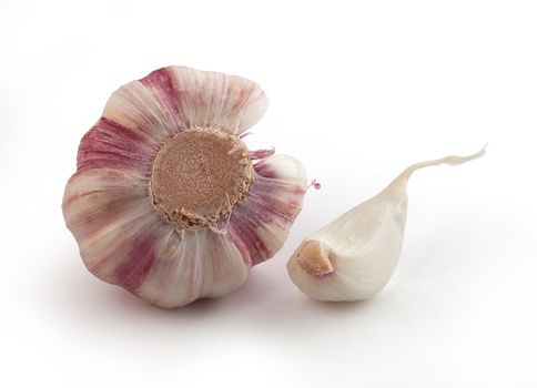 Bulb and clove of young garlic on the white background
