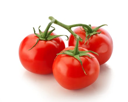 Fresh branch of red tomato on the white