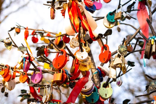 Many wedding colorful locks with the names of the newlyweds and wishes in Russian on a wedding tree. Symbol of love, marriage and happiness.