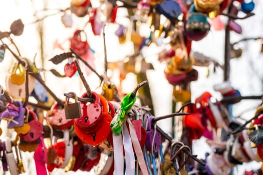 Many wedding colorful locks with the names of the newlyweds and wishes in Russian on a wedding tree. Symbol of love, marriage and happiness.