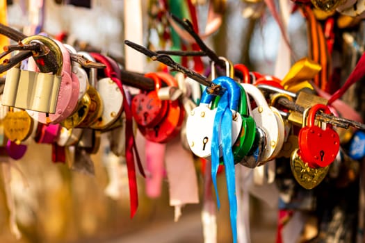 Many wedding colorful locks on a wedding tree. Symbol of love, marriage and happiness.