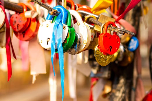 Many wedding colorful locks on a wedding tree. Symbol of love, marriage and happiness.