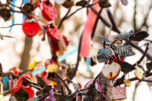 Many wedding colorful locks with the names of the newlyweds and wishes in Russian on a wedding tree. Symbol of love, marriage and happiness.