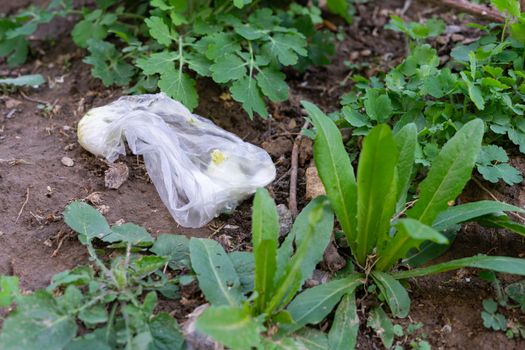 the problem of pollution of nature with human waste