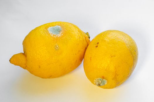 two spoiled lemons on a white background