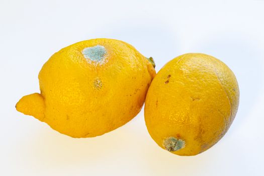 two spoiled lemons on a white background