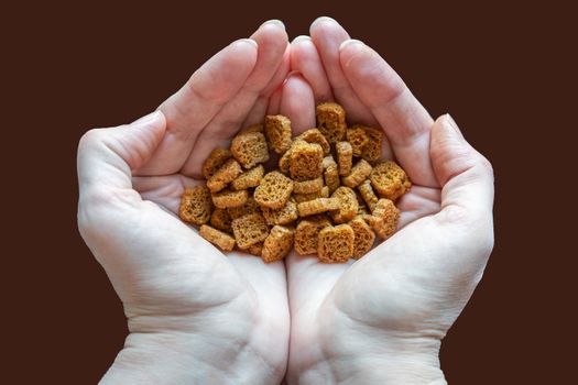 croutons of black bread in palms close up