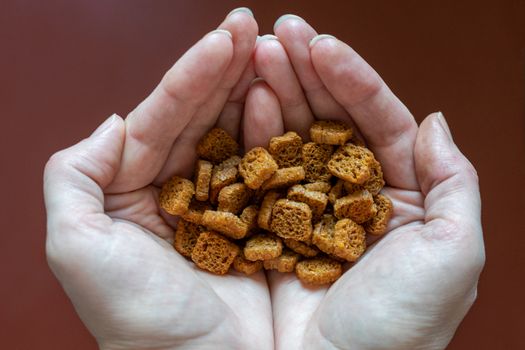 croutons of black bread in hands close up