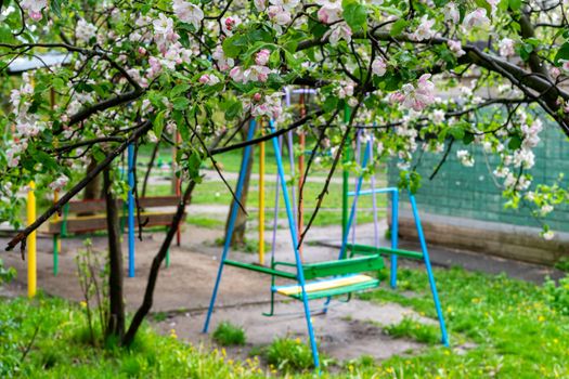 quarantine baby swing under a well-flowered tree