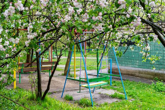 quarantine baby swing under a well-flowered tree