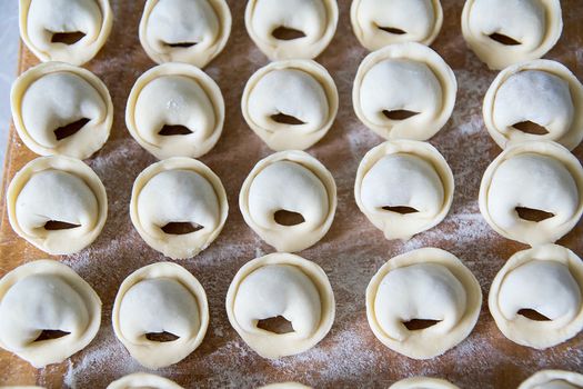 dumplings on a plate ready for cooking