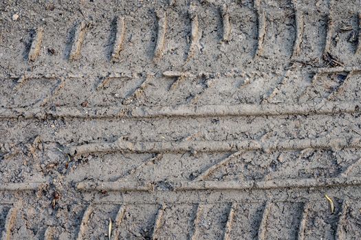 Dried imprint of the car wheel tread. Wet ground. Dry land