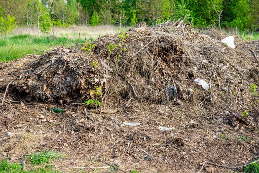 A big pile of garbage and last year's leaves in the protected area. Danger of fire in the park. Pile of leaves and garbage