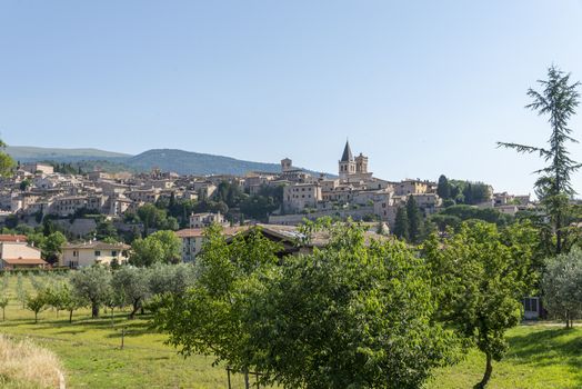 panorama of the country of spello province of perugia in a sunny summer day