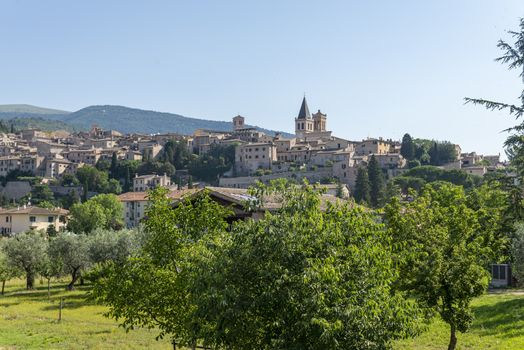 panorama of the country of spello province of perugia in a sunny summer day