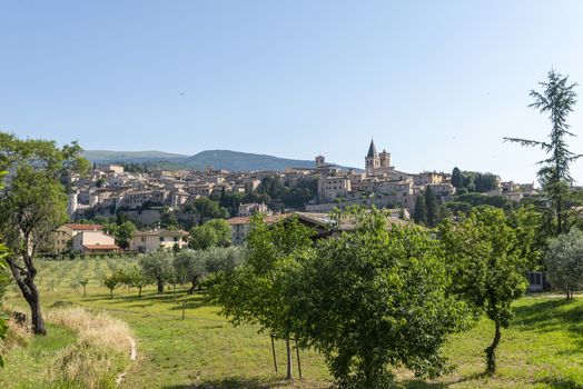 panorama of the country of spello province of perugia in a sunny summer day