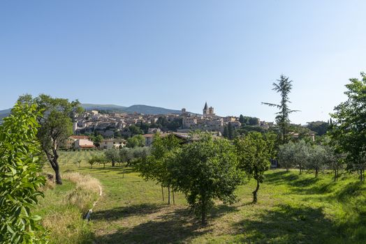 panorama of the country of spello province of perugia in a sunny summer day