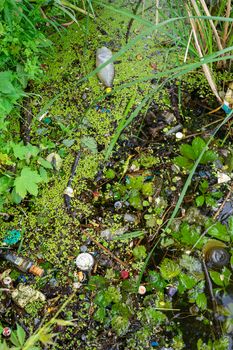 the water in the river is polluted with garbage and tree leaves. polluted river