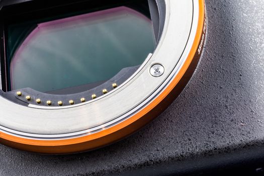 Close-up of the sensor plate of a camera with full-frame sensor, cropped