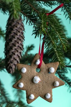 christmas cookie on a fir tree