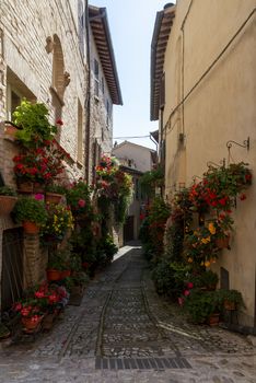 spello,italy june 27 2020 :alleys of spello decorated with plants and characteristic flowers