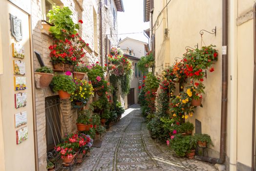 spello,italy june 27 2020 :alleys of spello decorated with plants and characteristic flowers