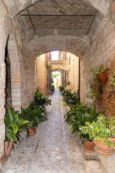 spello,italy june 27 2020 :alleys of spello decorated with plants and characteristic flowers