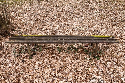 old wooden bench with leaves on the ground